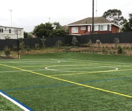 MULTI-PURPOSE FIELDS